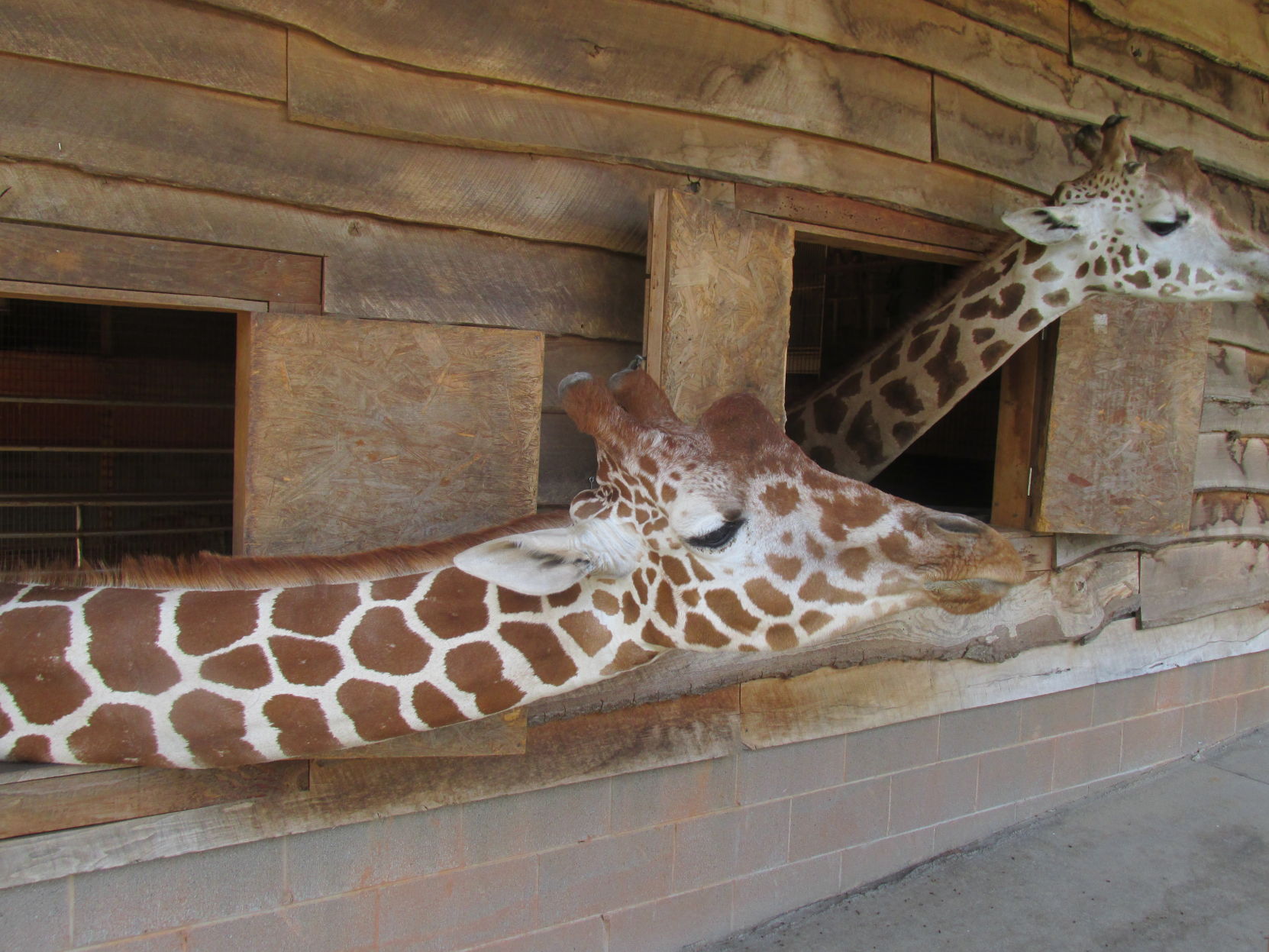 Zootastic (38).JPG